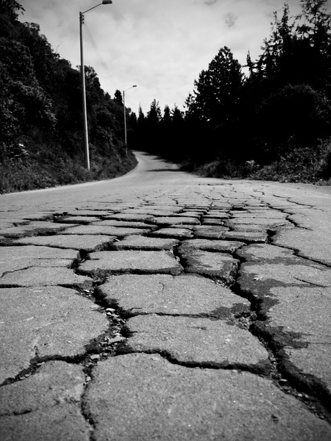 道路鳄鱼形裂缝